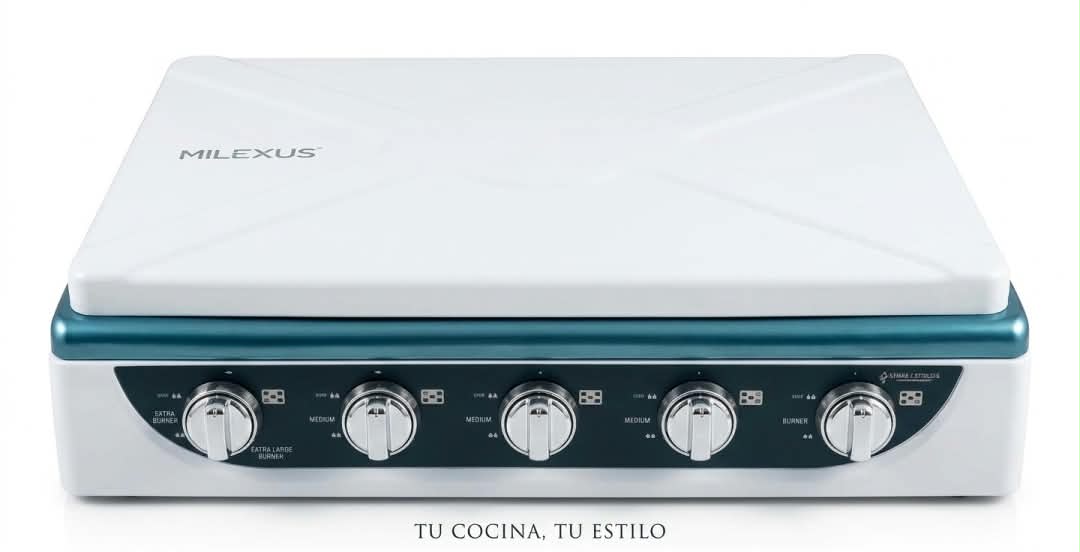 Cocina de gas 5 hornillas